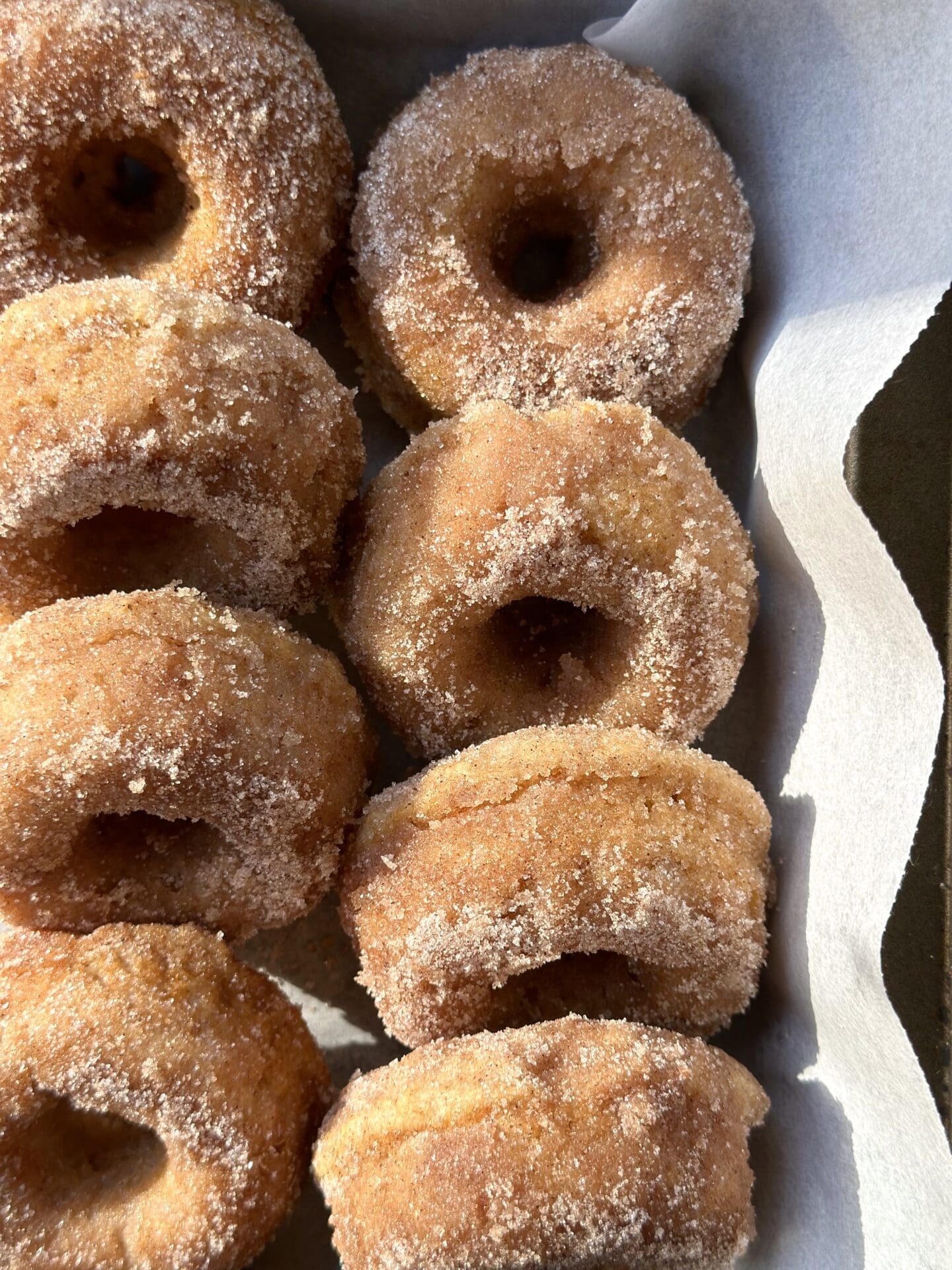 IMG_9997 Rows of freshly baked Cinnamon Sugar Donuts are packed in a parchment lined container for a picnic