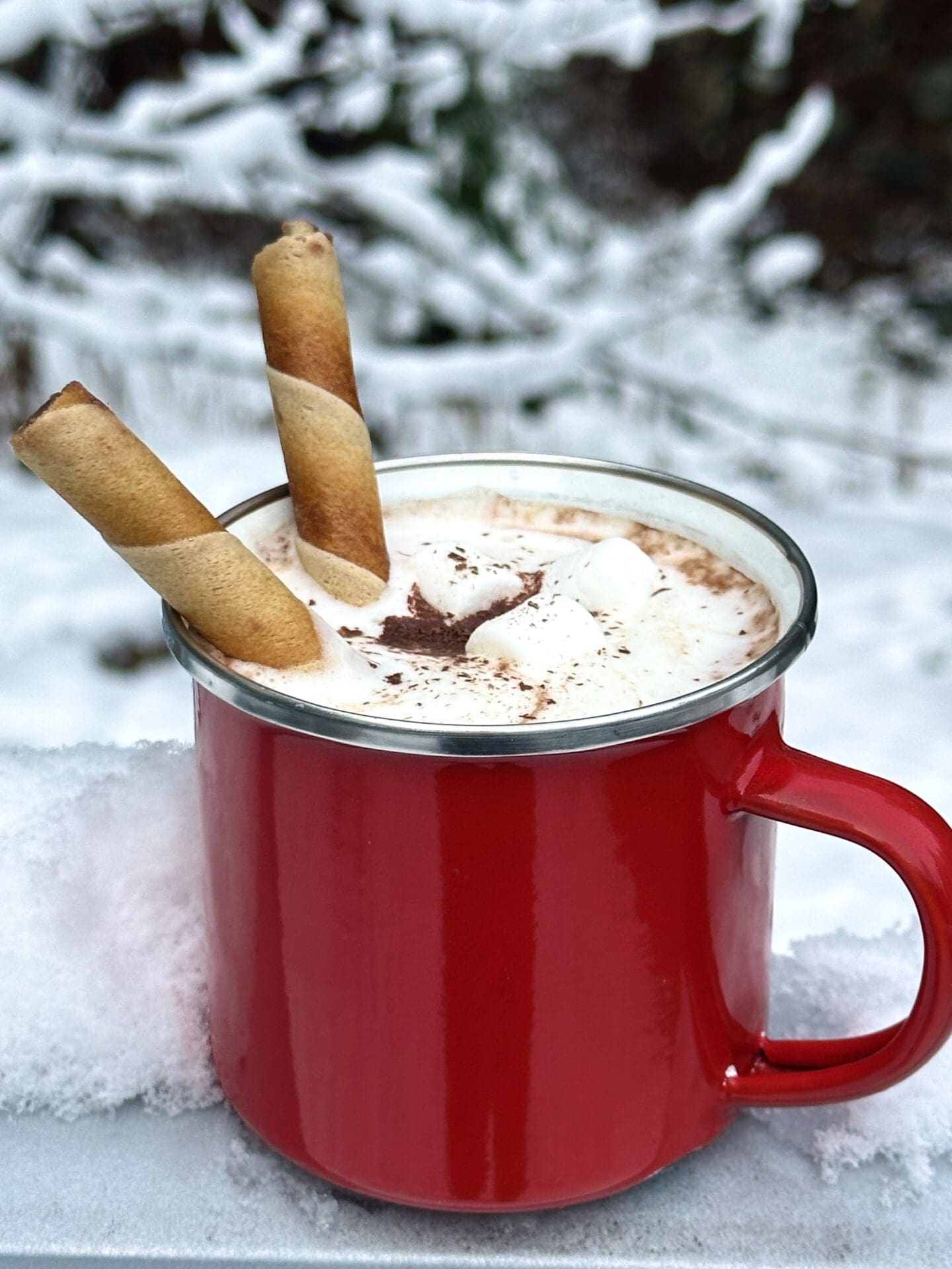 IMG_3636 A red enamel mug filled with hot chocolate sits outside in the snow. The hot chocolate is garnished with whipped cream, chocolate shavings and cookie rolls.