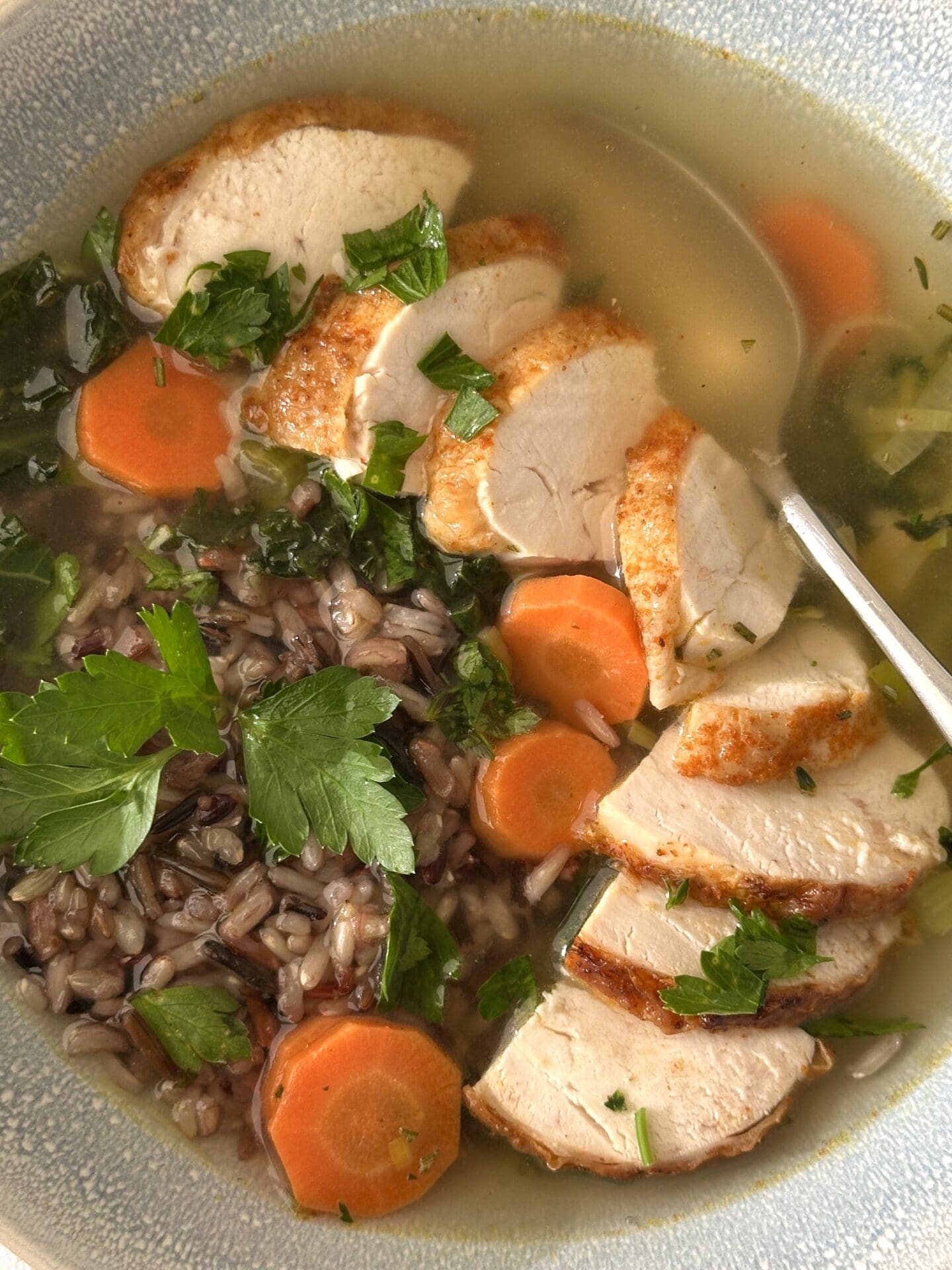IMG_3693 A bowl of turkey leek and wild rice soup is seen in close up, from above, with large slices of juicy turkey and a heap of wild rice nestled in a golden broth.