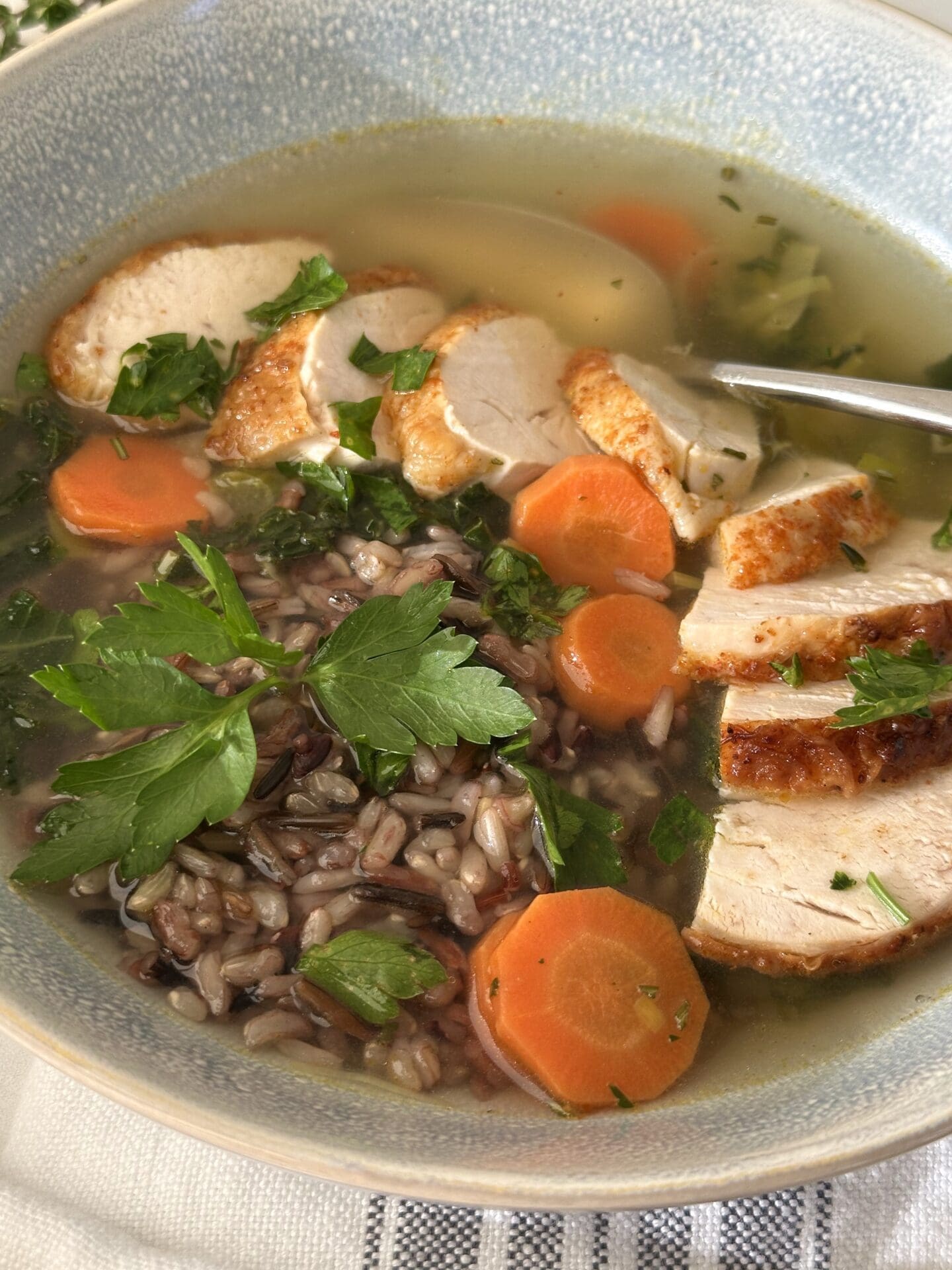 IMG_3694 A bowl of turkey, leek and wild rice soup is seen close up, garnished with fresh parsley