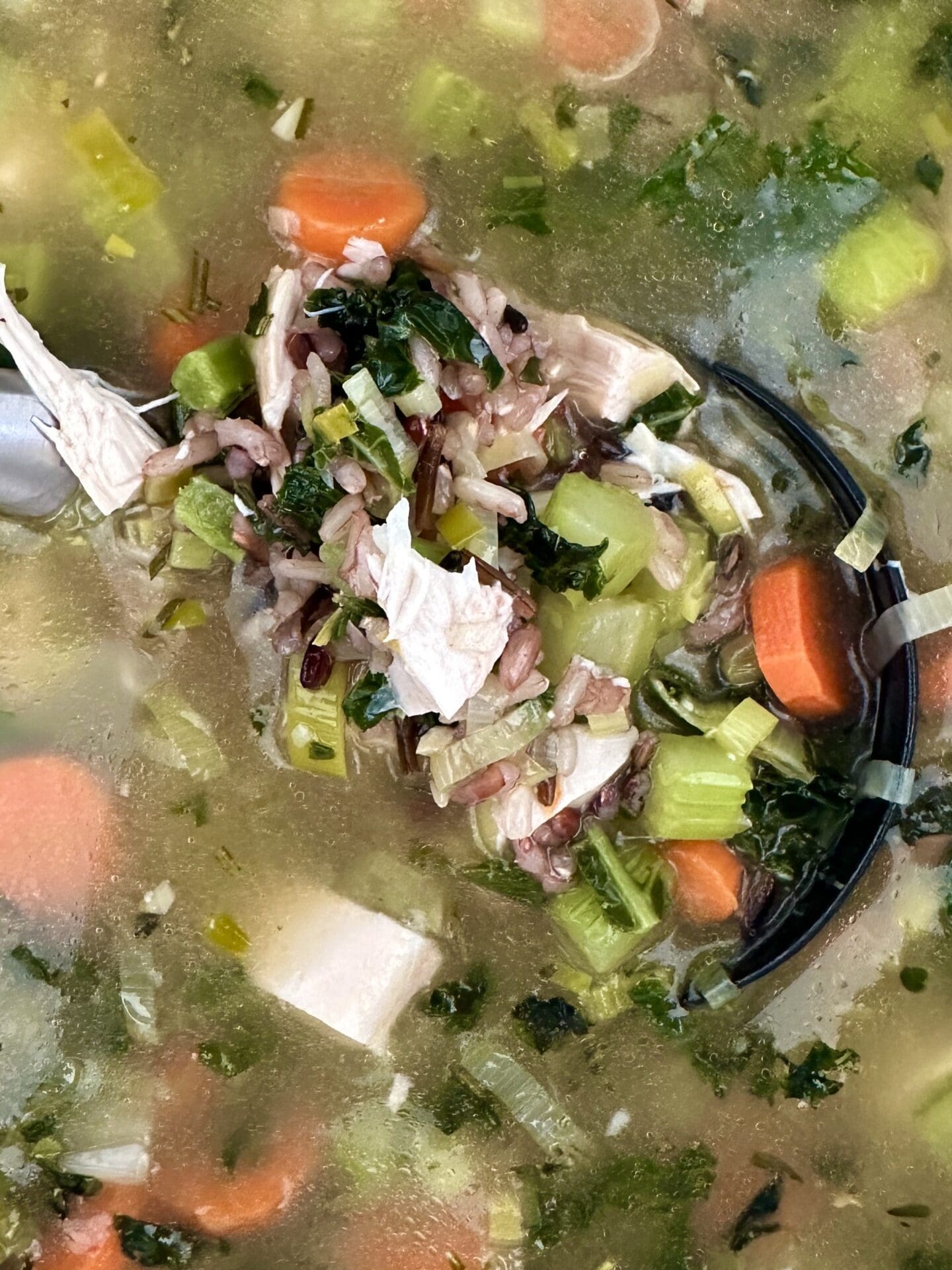 IMG_3703 A ladle full of turkey, leek and wild rice soup is seen from above, hovering above a simmering pot of the soup