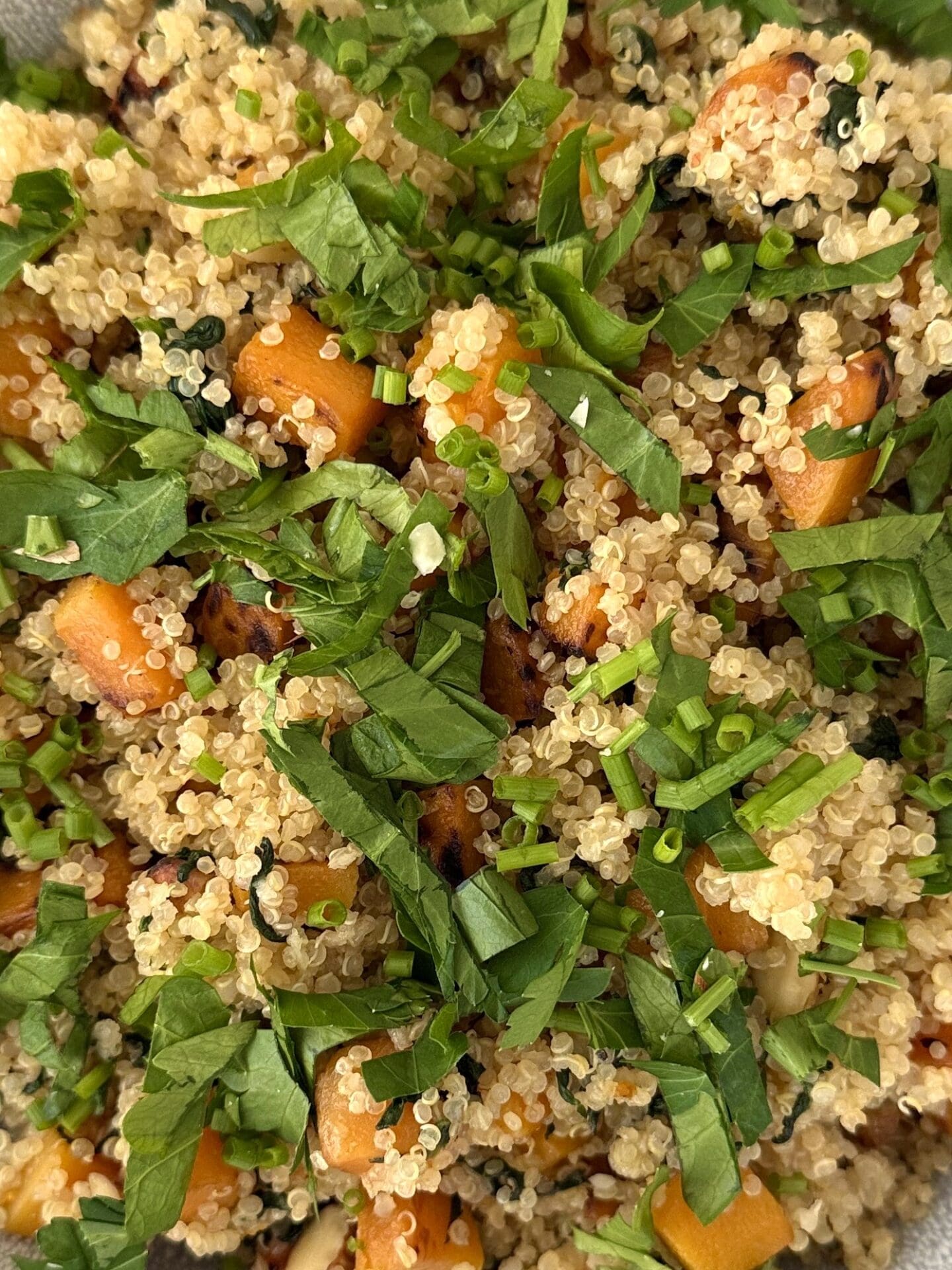 IMG_4674 A close up photo of quinoa salad with butternut squash, spinach and crunchy almonds. The salad is topped with a heavy sprinkling of chopped fresh parsley and chives.
