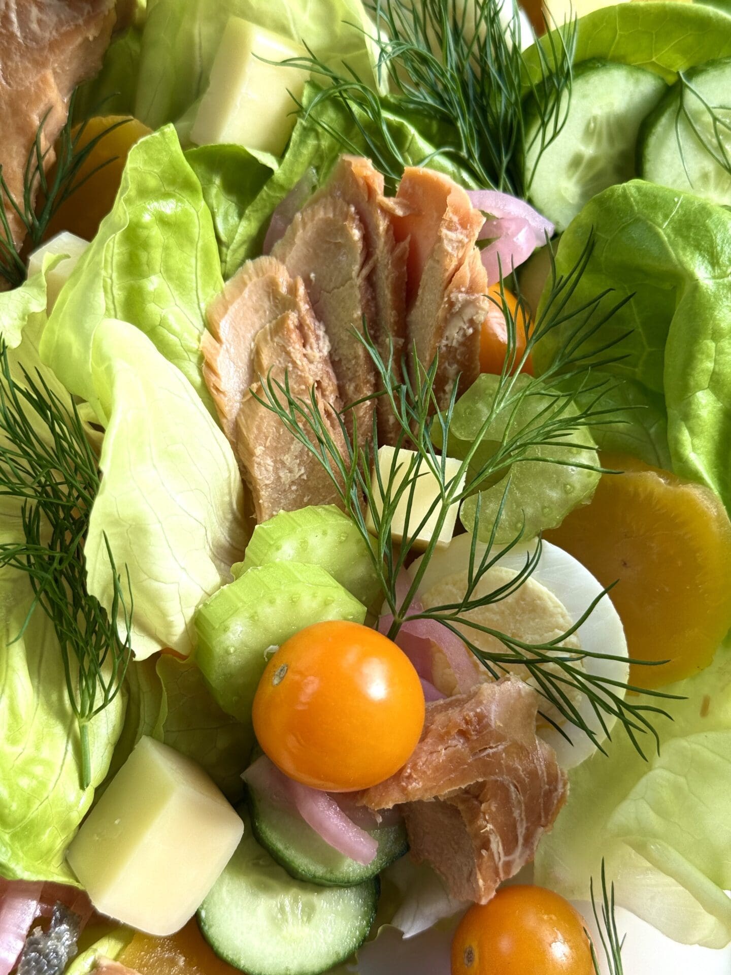 IMG_4945 An Irish Pub Salad with Hot Smoked Salmon is seen close up, from above.