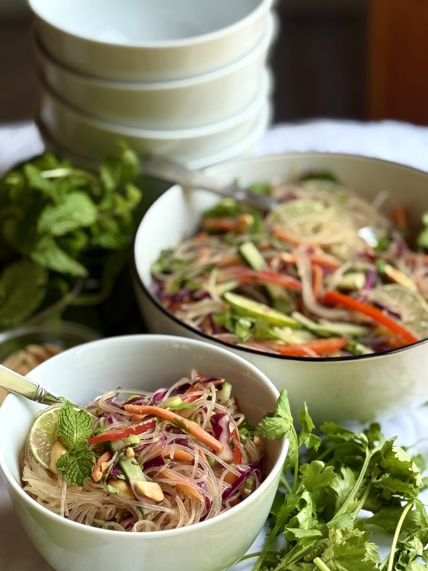IMG_6440 An individual bowl of Spring Roll Noodle Salad is seen in the foreground. A larger serving bowl of the colourful salad sits in the background, along with a stack of individual bowls. All the dishes are surrounded by piles of fresh, green mint leaves and cilantro sprigs.